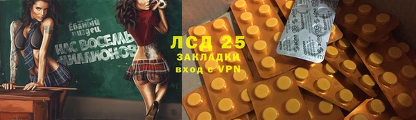 ПСИЛОЦИБИНОВЫЕ ГРИБЫ Алексин