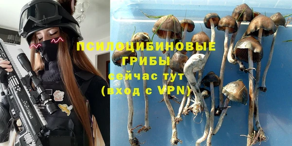 таблы Алзамай