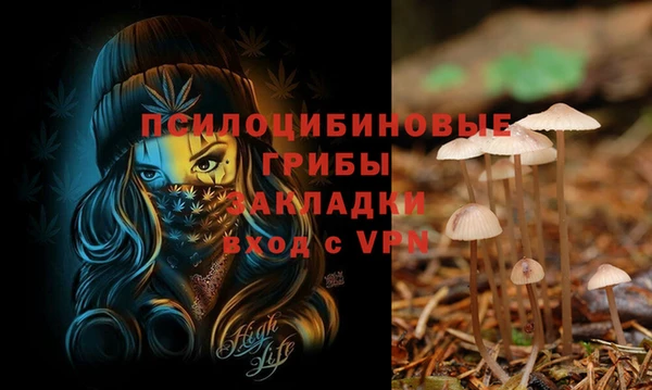 таблы Алзамай