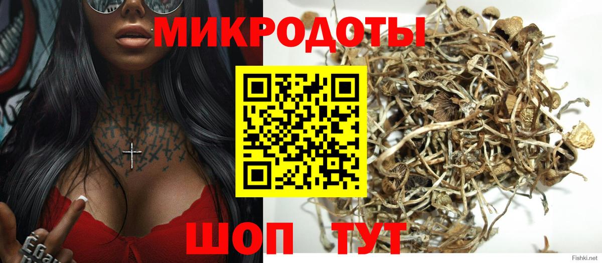 Псилоцибиновые грибы прущие грибы  Псилоцибиновые грибы мицелий  Алушта  Вход с VPN 