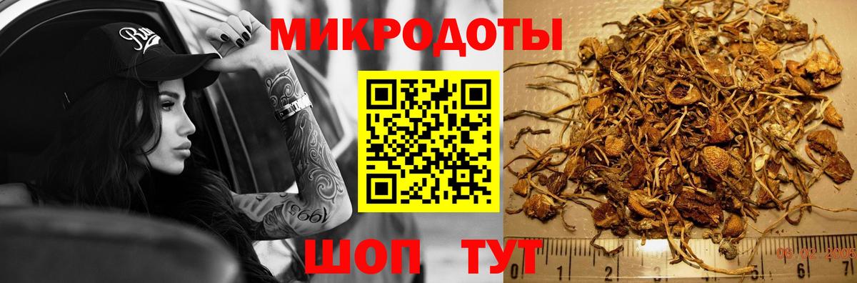 Галлюциногенные грибы Magic Shrooms Алушта